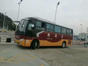 駕校培訓(xùn) 韶關(guān)駕校 瑞和機(jī)動(dòng)車(chē)駕駛員培訓(xùn) 查看